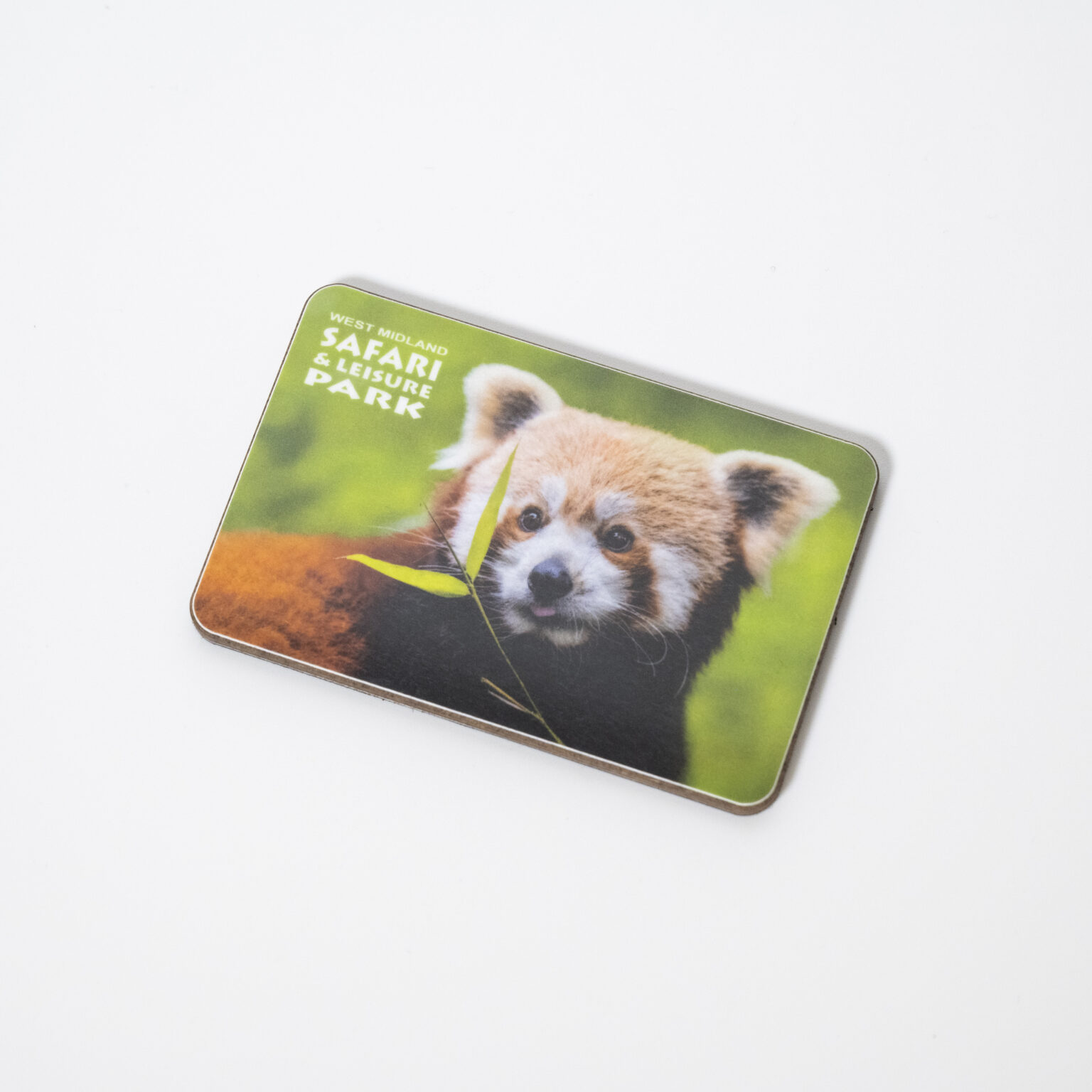 WMSP Red Panda Melamine West Midland Safari Park